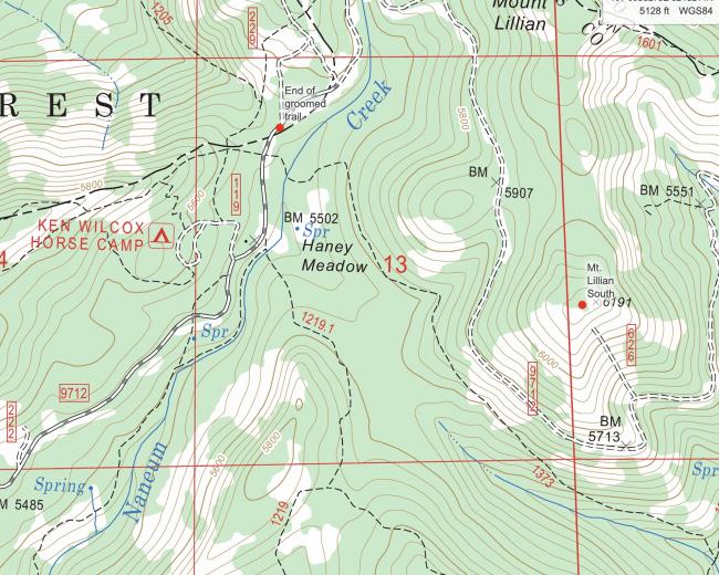 topo map of the area. Mt Lillian South on the right.