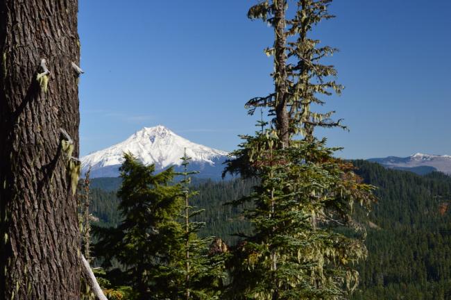 Mt Jefferson in distance