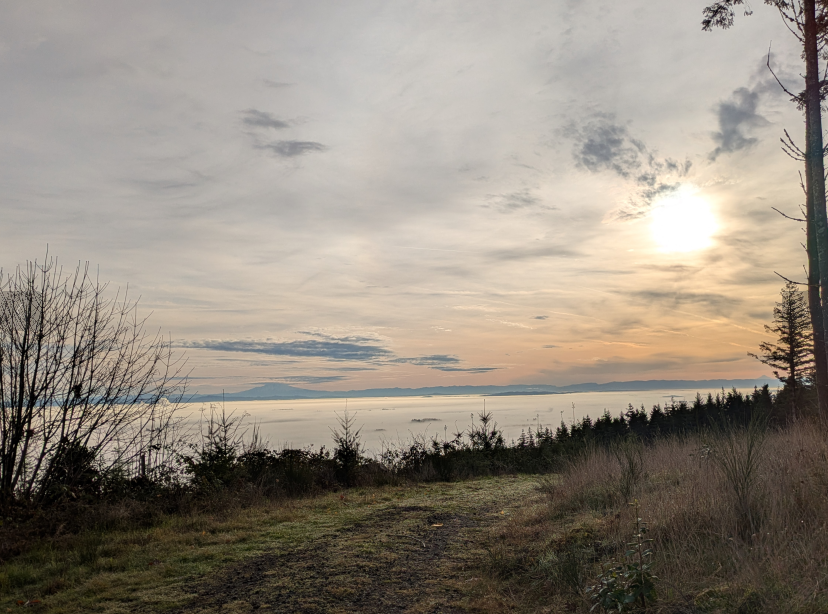 Willamette valley in the morning