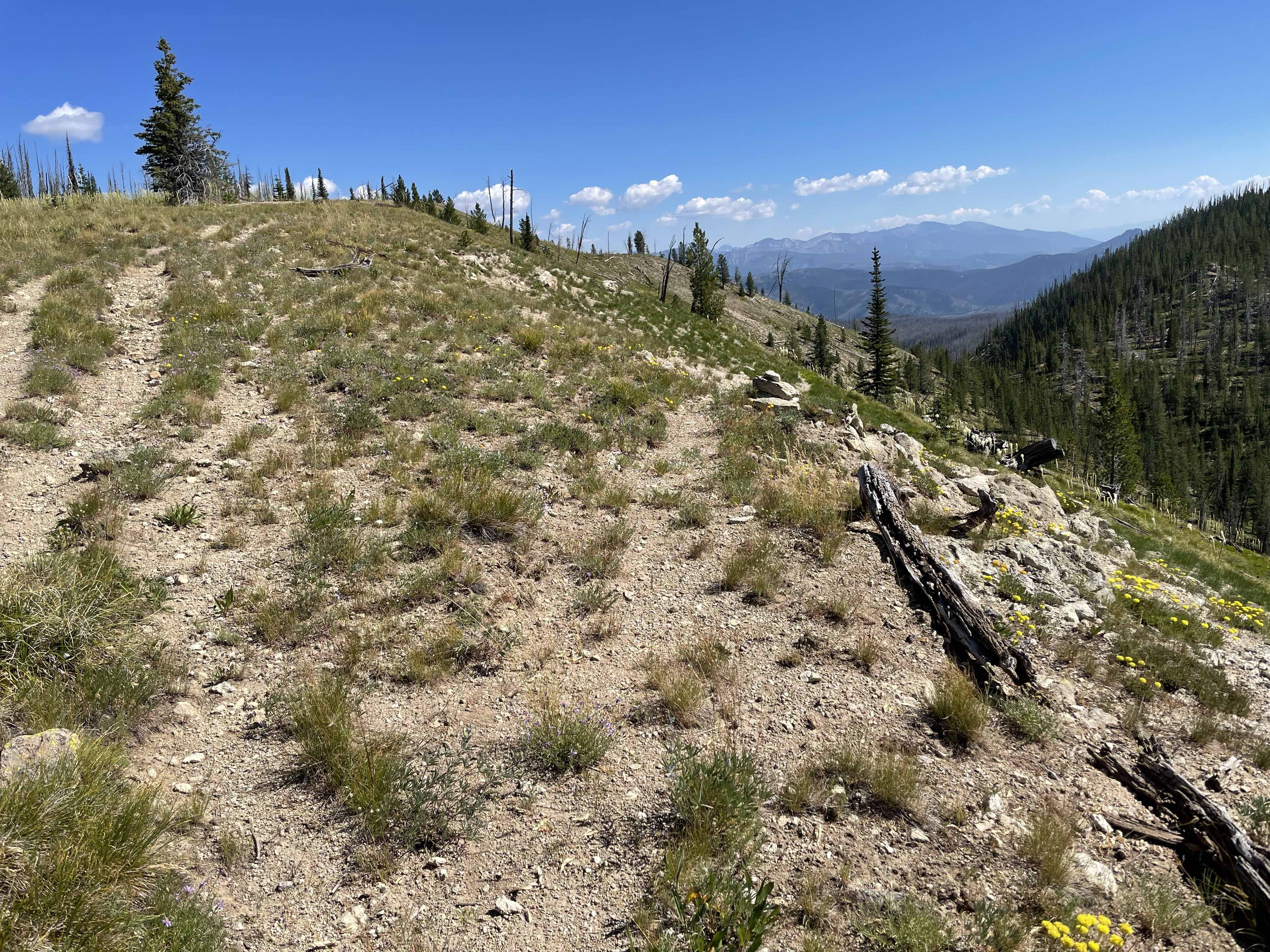 Devils Point, Idaho | July 2022 | pnwsota.org