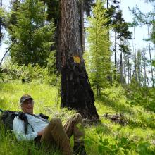 Resting near a boundary marker tree