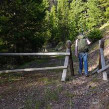 Gate on Old Logging Road
