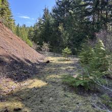 The Good - mid section of hike