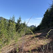 The Bad - Sidehill hiking 