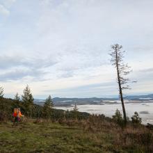 Bill (WJ7WJ) looking at Willamette Valley from ridge