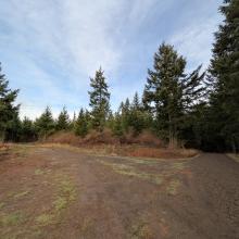 Trail with fork in the road