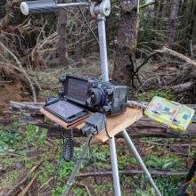 Ham radio in the forest