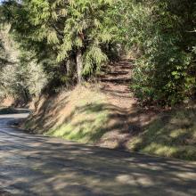 Trailhead next to gravel road