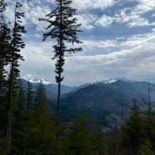 Mt. Baker + Twin Sisters