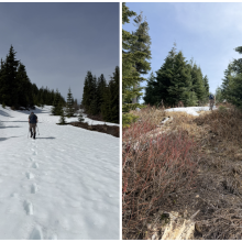 Nearing the summit