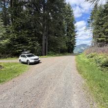 White car parked on the side of the forest road