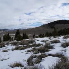 Approaching the Peak