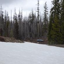 Snowdrift that stopped us - Near 3C Spring