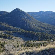 W7M/BR-150 from W7M/BR-155