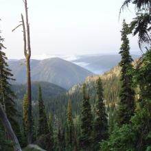 The Shissler Fire looking south from Elk Mountain