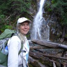 Waterfall above trailhead