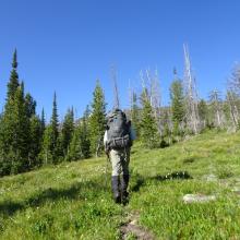 Heading up on the Omar Mountain Trail