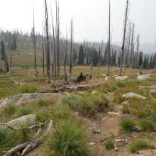 On the trail between Grave Meadow and Indian Park
