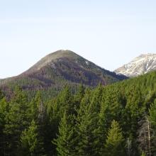 View of Summit from Trail
