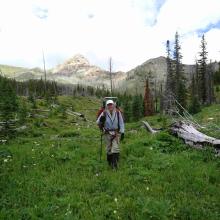Descending to Dobrota Creek - almost back onto a trail!