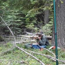 Sugarloaf summit - No Views
