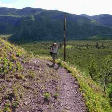 Heading out on the Hobnail Tom trail - near the Dry Fork