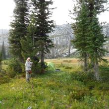 Grave Meadow Campsite