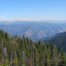 Selway Views From Near Camp