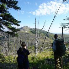 Beginning to head north on the South Ridge - Summit in distance