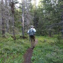 Nice trail for the first part