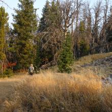 Walking around the west side of the summit rockpile