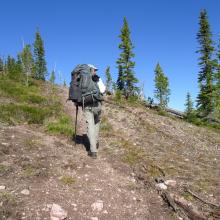 Getting Higher on the Trail