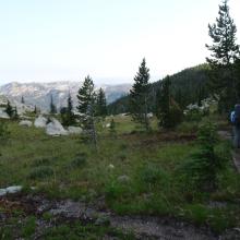 Pretty Meadow just north of Elk Mountain on Ridge