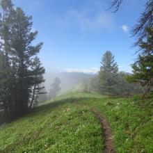 Ridge trail - looking south