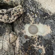 Benchmark & Register