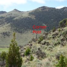 Property Corner Post - Looking South