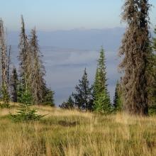 The 2020 Shissler Fire