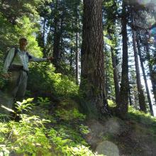 The turnoff to the old Shearer Peak Trail