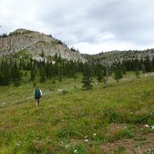 Approaching copse of trees below summit