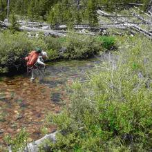 Crossing the upper North Fork