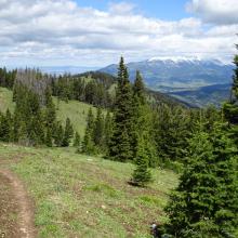 Ridge trail - looking north