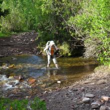 Crossing Deer Creek