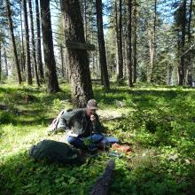 Activating at the Summit