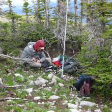 Shelter from the wind