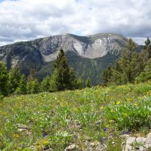 Danaher Mountain from Concord Mountain