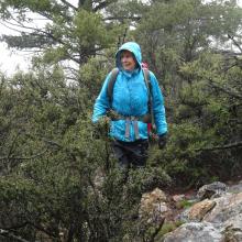 AE7AQ - Mountain Mahogany