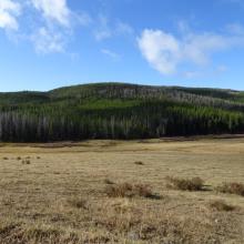Looking back at summit from the Boulder River road