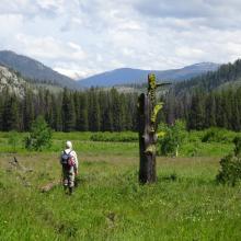 Heading east on the Dry Fork Trail