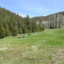 Meadow with car - Stay right when heading up