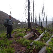 Spread Mountain Trail - near the beginning